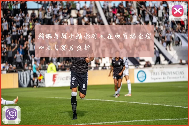 鹈鹕与骑士精彩对决在线直播全程回放与赛后分析